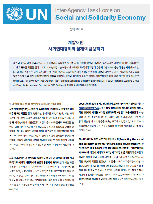 [UNTFSSE Policy brief] 개발재원 : 사회연대경제의 잠재력 활용하기(한국어판)
